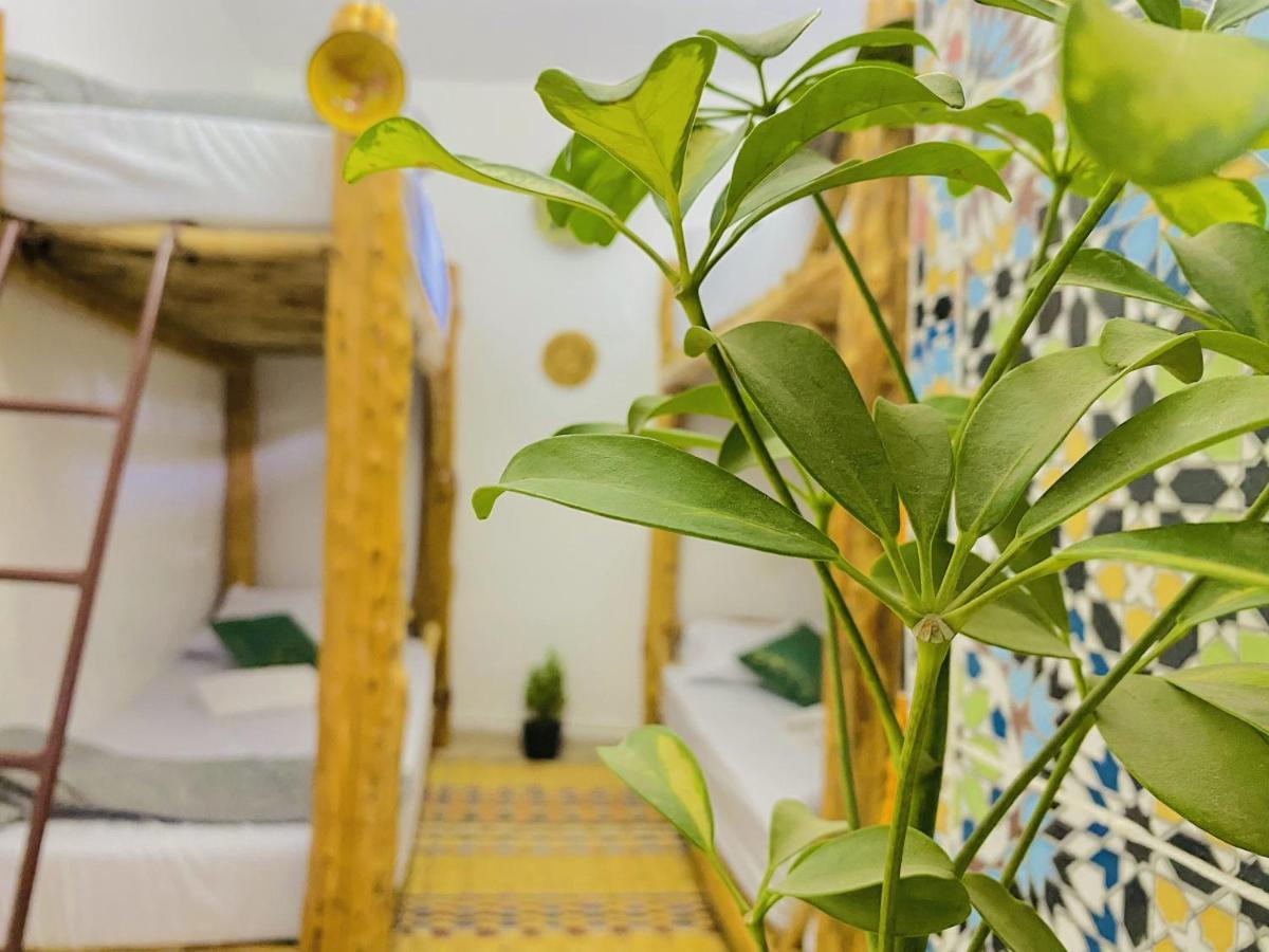 Tizaou Guest House 타가주트 외부 사진